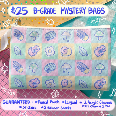 $25 B-Grade Mystery Bag (READ DESCRIPTION)