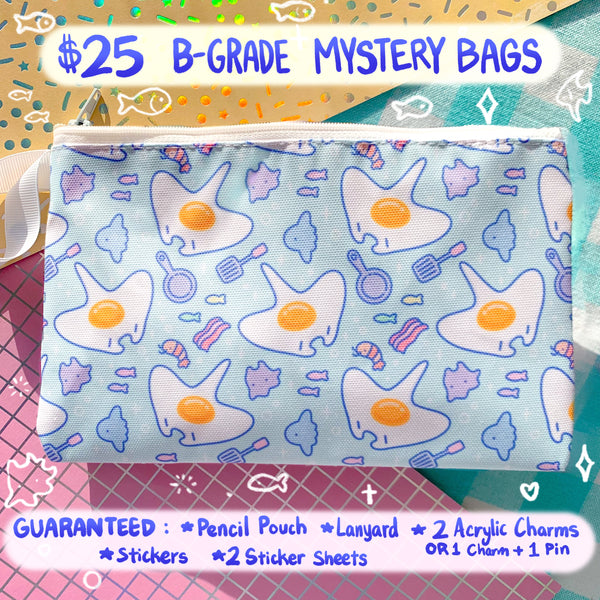 $25 B-Grade Mystery Bag (READ DESCRIPTION)