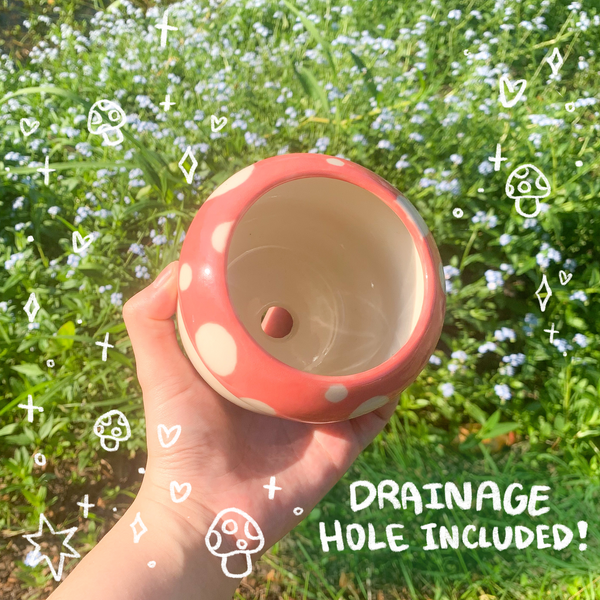 Mushroom Planter (DISCOUNTED)