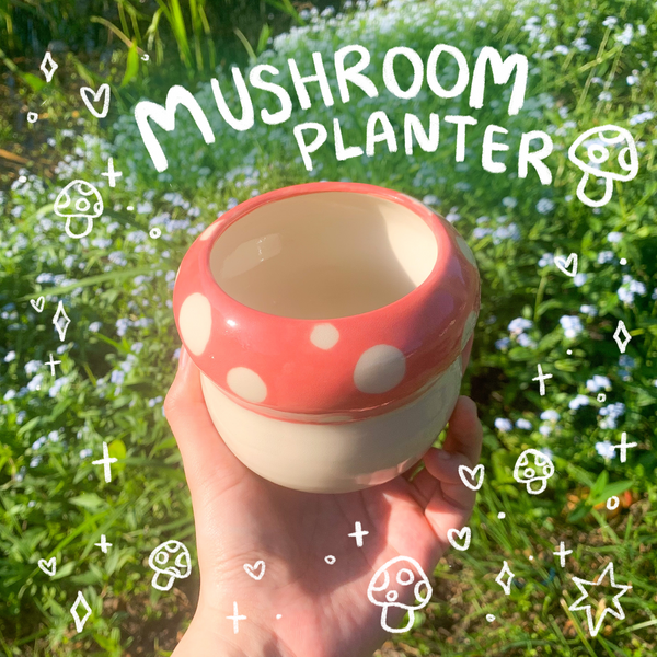 Mushroom Planter (DISCOUNTED)